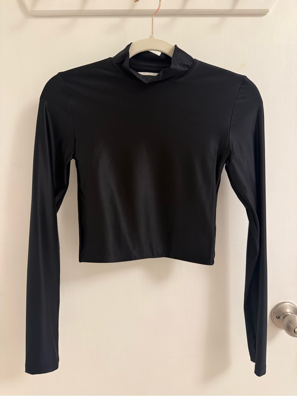 Aritzia Long-Sleeve Shiny Mock Neck Crop Top